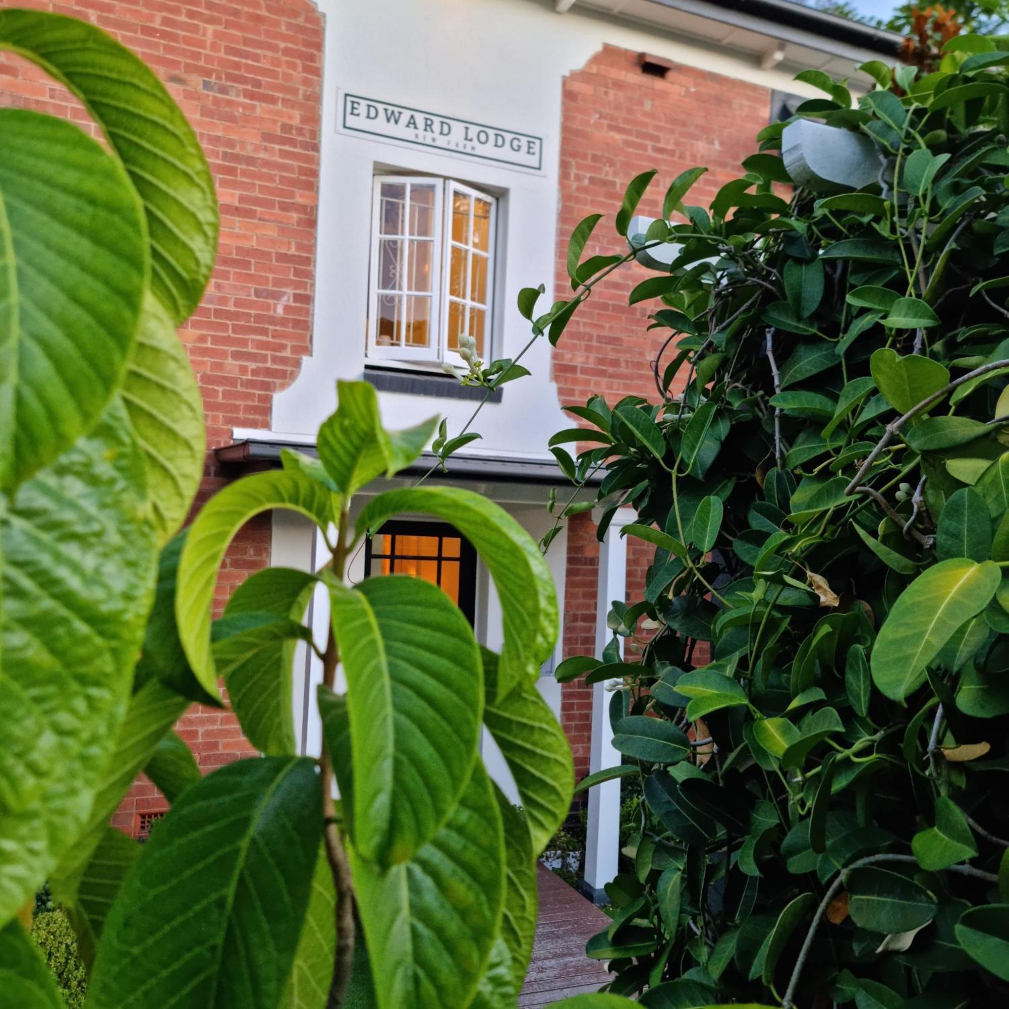 爱德华住宿加早餐旅馆 布里斯班 外观 照片